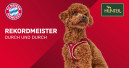 Hunter und FC Bayern München kooperieren