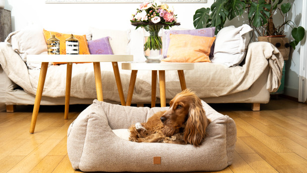 Pet & Co. designt und entwickelt hochwertige Zubehörprodukte für Hunde und Katzen und lässt sie an verschiedenen Standorten, überwiegend in Osteuropa, produzieren.