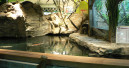 Neuer Kölle Zoo in Weil am Rhein