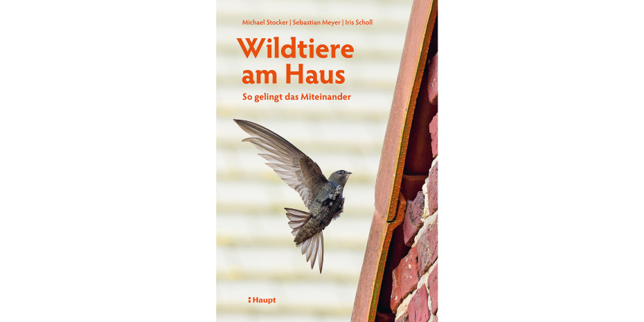 Haupt Verlag Haupt Verlag