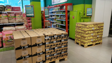 Schweizer Tierschutz und Fressnapf helfen Kriegsflüchtlingen