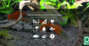 Neue Online-Themenwelt 