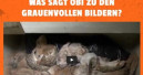 BNA kritisiert Petition gegen Tierverkauf