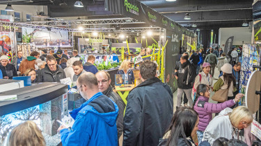 „Leistungsfähige Messe“