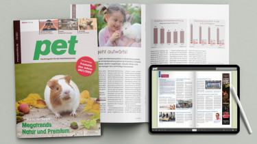 E-Magazin Ausgabe 12/2021