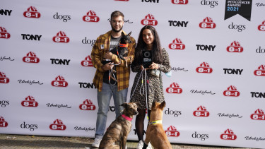 Verleihung der German Petfluencer Awards