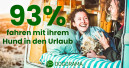 Die meisten Hundehalter verreisen mit Vierbeiner
