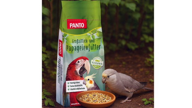 Panto Panto