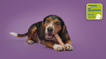 Happy Dog zweimal mit Verbraucherpreis ausgezeichnet