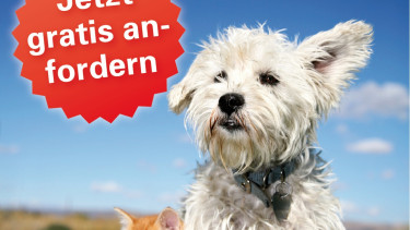 Frühjahrsvorbereitungen