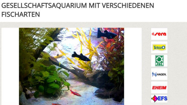 Tier Total ermöglicht das Erleben von Aquaristik live am Bildschirm. Tier Total ermöglicht das Erleben von Aquaristik live am Bildschirm.