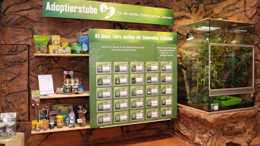 Fressnapf eröffnet Auffangstation für Reptilien