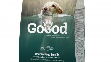 Auszeichnung für Mondi in Ungarn