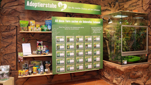 Fressnapf eröffnet Auffangstation für Reptilien