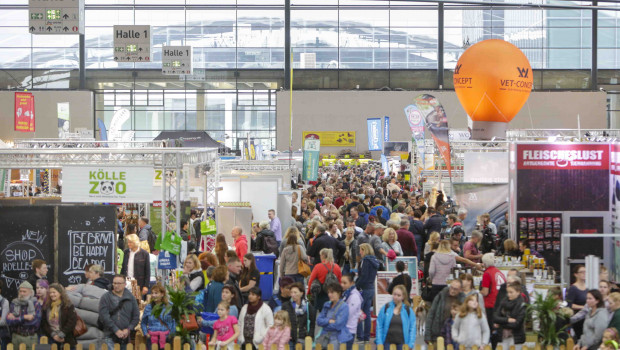 Herzstück der Messe sind Rassehunde- und Edelkatzenausstellungen.