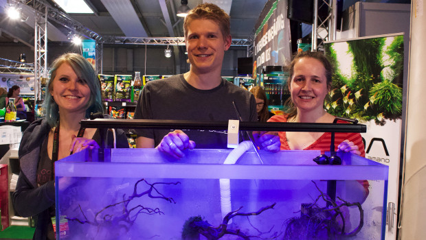 Am Ende der Messe werden sechs meisterhafte Aquarien zur Schau gestellt. Am Ende der Messe werden sechs meisterhafte Aquarien zur Schau gestellt.