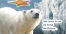 Neuer „Eiskalt“-Katalog