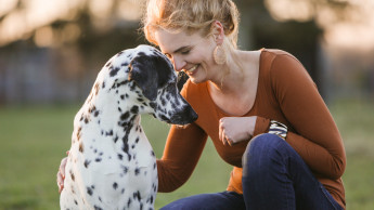 Eine Brücke zwischen Mensch und Tier