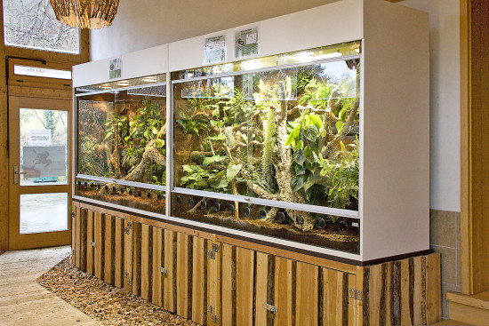 Im Tierpark Herborn wurde unter anderem eine Wasserfall-Landschaft mit integriertem Terrarium für Stabschrecke und Vogelspinne gebaut.