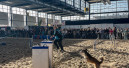 Fellnasen & Friends kommt 2026 wieder