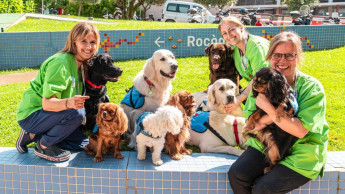 Purina fördert die Mensch-Tier-Beziehungen