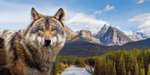 „Herzblut steckt in jedem Produkt“ „Herzblut steckt in jedem Produkt“