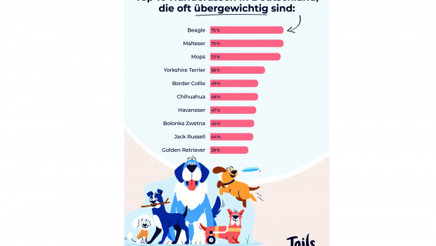 Das Idealgewicht bringt Hunden im Durchschnitt sechs bis neun Monate mehr Lebenszeit im Vergleich zu ihren übergewichtigen Kollegen, bei kleinen Hunden sogar bis zu drei Jahre.