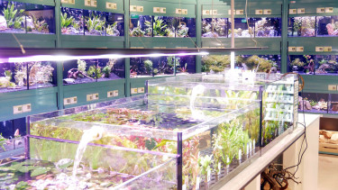 Ein herausfordernder Markt