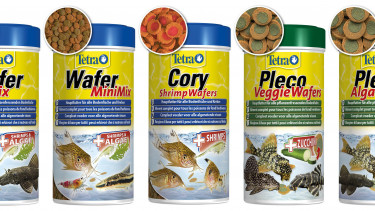 Neue "Tetra Wafer"-Futter