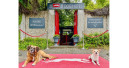 Neues Hunde-Hotel im Movie Park Germany