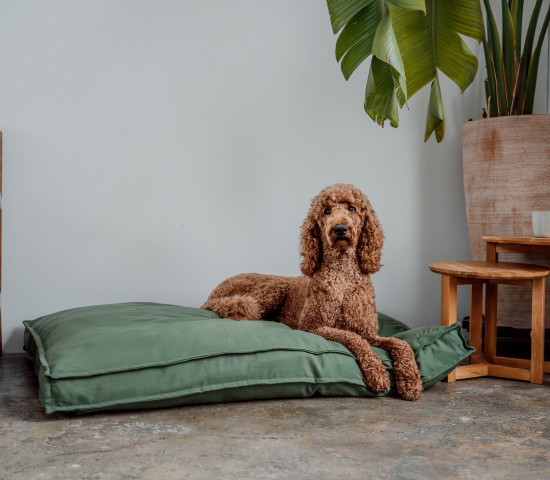 Das Hundebett Wilma ist komplett aus natürlichen Materialien. Die Füllung besteht aus hochwertiger Bio-Wolle – ein Naturmaterial, das seit Jahrhunderten für Komfort, Langlebigkeit und Wohlbefinden geschätzt wird.&nbsp;www.lills.store