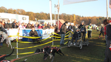 Dr. Clauder sponsert Schlittenhunde-WM