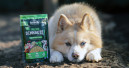 Dampfgegartes Hundefutter