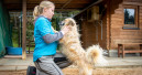 Rekordeinnahmen bei Hundesteuer