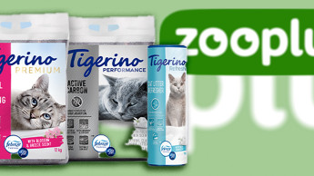 Zooplus und Procter & Gamble kooperieren