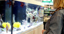 Aquaristik-Messe in Freiburg