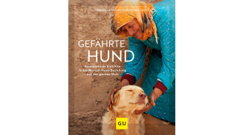 Gefährte Hund