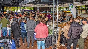 Störungsfreie Beratungssituationen