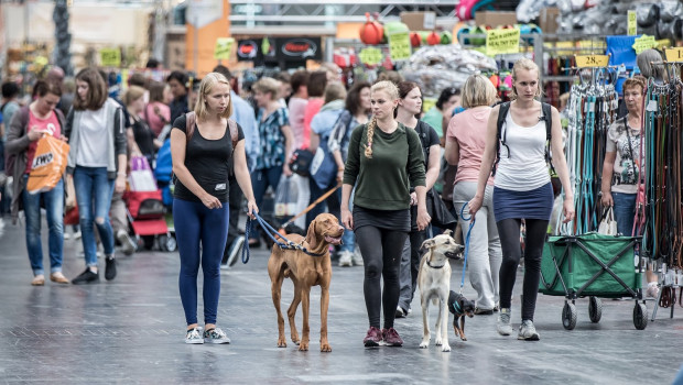 Die nächste Auflage der Hund & Co. ist auf den 5. und 6. Februar 2022 auf dem Messegelände Hannover terminiert.