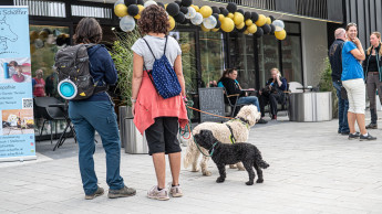 Weihnachtsmarkt für Hund und Mensch