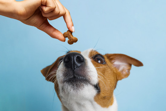 Die Stärke der Fi Europe liegt in ihrem Plattform-Effekt. Die Stärke der Fi Europe liegt in ihrem Plattform-Effekt.