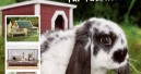 Futterhaus stellt Kleintier-Katalog vor