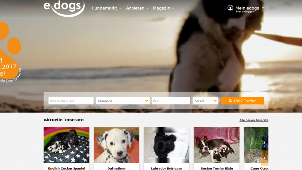 edogs.de