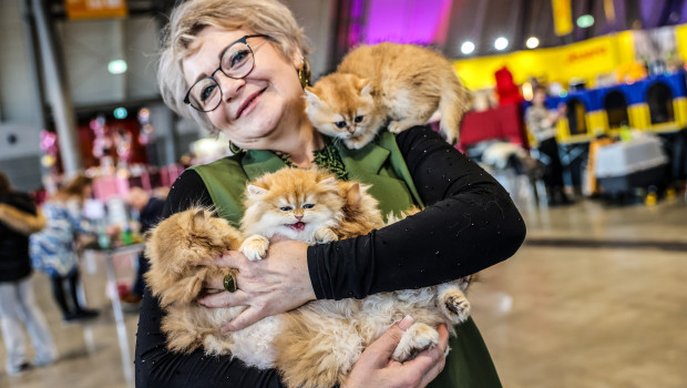 Tierisch süß: Die Animal begeisterte das Messepublikum mit ihrer Arten- und Produktvielfalt. Tierisch süß: Die Animal begeisterte das Messepublikum mit ihrer Arten- und Produktvielfalt.