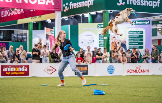 Vielfältige Aktionen wie etwa Hundefrisbee beleben das traditionelle Messeformat in Dortmund. Vielfältige Aktionen wie etwa Hundefrisbee beleben das traditionelle Messeformat in Dortmund.