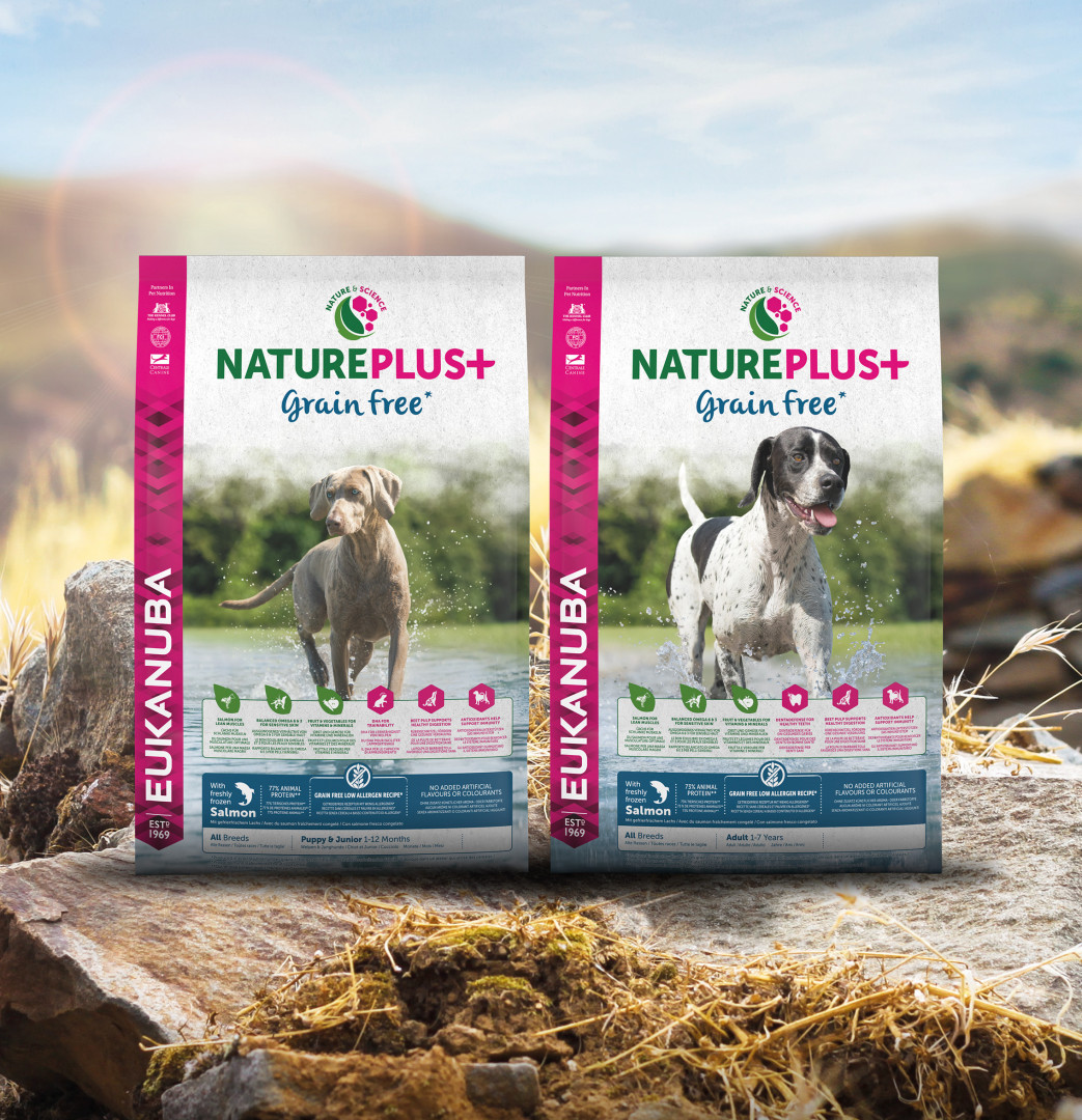 Balloony.pet Hundefutter Truthahn - Darmschonend Für Sensible Hunde