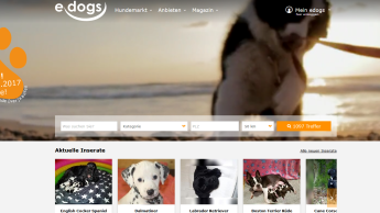 Neuer Online-Marktplatz für Hunde