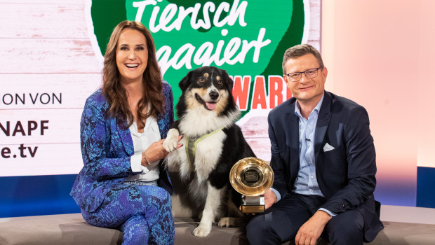 Die Verleihung des „Tierisch engagiert“-Awards fand im TV und Online statt. Maggie Entenfellner, Journalistin und Tierschützerin, und Hermann Aigner, Geschäftsführer Fressnapf Österreich, führten durch die Sendung.