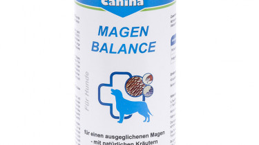 Ein Magen im Gleichgewicht