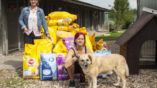 Zooma-Zookauf spendet für Tierheim Zooma-Zookauf spendet für Tierheim